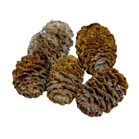 Meridianum natúr 18dkg/csom