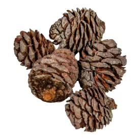 Murii fej natúr 16dkg/csom