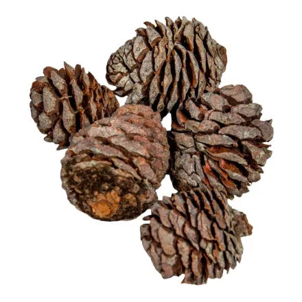 Murii fej natúr 16dkg/csom