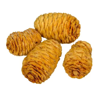 Sabulosum krém 15dkg/csom