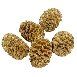 Meridianum arany 10dkg/csom