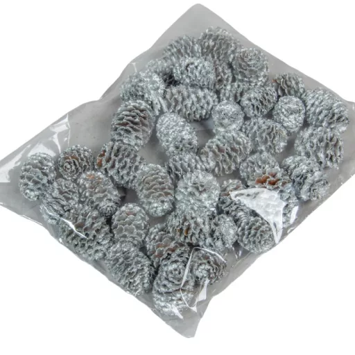 Meridianum ezüst 10dkg/csom