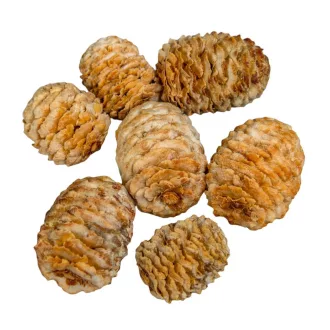 Meridianum krém 20dkg/csom