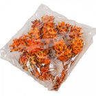 Plumosum fej narancs 10dkg/csom