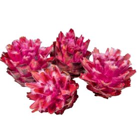 Plumosum fej rózsaszín 10dkg/csom