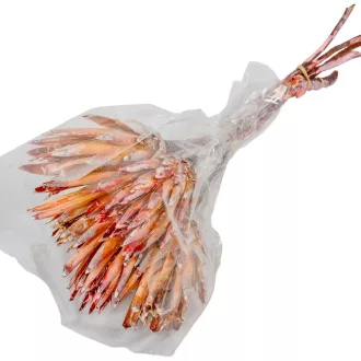 Protea piros II. oszt. Zúzmarás 5db-os