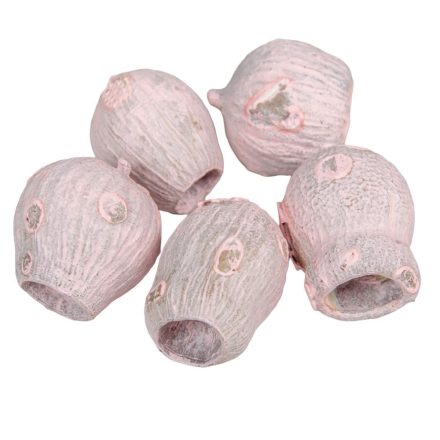 Eukalyptus/Bell Gum falfestékes rózsaszín 15dkg/csom
