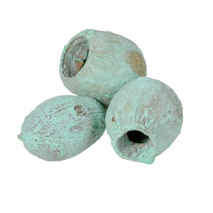 Eukalyptus/Bell Gum falfestékes aqua 15dkg/csom