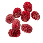 Meridianum piros 12dkg/csom