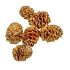 Meridianum pezsgő 10dkg/csom