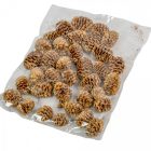 Meridianum pezsgő 10dkg/csom