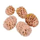 Meridianum falfestékes barack 12dkg/csom