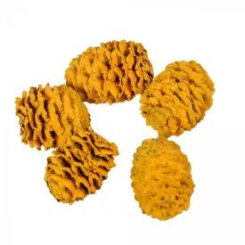 Meridianum falfestékes narancs 12dkg/csom