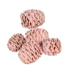 Meridianum falfestékes rózsaszín 12dkg/csom