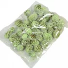 Meridianum falfestékes vil.zöld 12dkg/csom