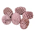 Meridianum falfestékes mályva 12dkg/csom