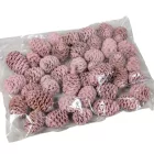 Meridianum falfestékes mályva 12dkg/csom