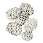 Meridianum falfestékes fehér 12dkg/csom