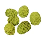 Meridianum falfestékes olíva 12dkg/csom