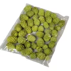 Meridianum falfestékes olíva 12dkg/csom