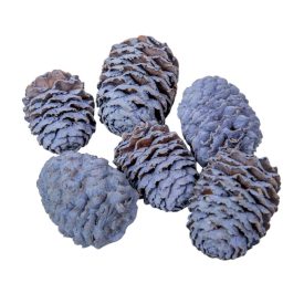 Meridianum falfestékes very peri 12dkg/csom