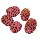 Meridianum falfestékes szeder 12dkg/csom