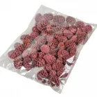 Meridianum falfestékes szeder 12dkg/csom