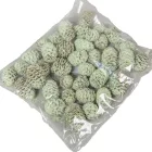 Meridianum falfestékes halványzöld 12dkg/csom