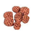 Meridianum falfestékes vil.barna 12dkg/csom