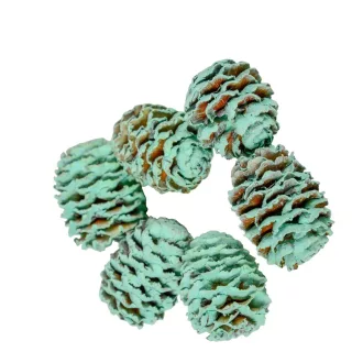 Meridianum falfestékes aqua 12dkg/csom