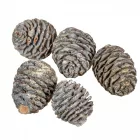 Murii fej zúzmarás 15dkg/csom