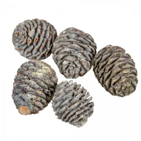 Murii fej zúzmarás 15dkg/csom