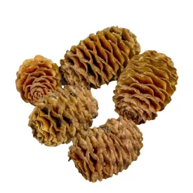 Sabulosum natúr 18dkg/csom