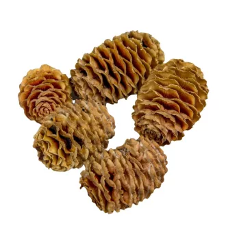 Sabulosum natúr 18dkg/csom