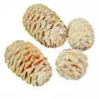 Sabulosum falfestékes fehér 13dkg/csom