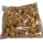 Salignum natúr 11dkg/csom