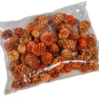 Salignum narancs 10dkg/csom