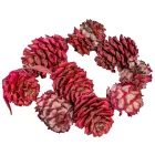 Salignum rózsaszín 10dkg/csom