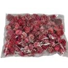 Salignum rózsaszín 10dkg/csom