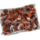 Salignum barna 10dkg/csom