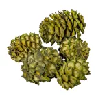 Salignum vil.zöld 10dkg/csom