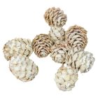 Salignum falfestékes fehér 10dkg/csom