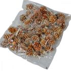 Salignum havas 9dkg/csom