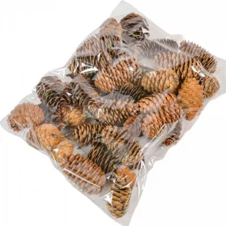 Kínai hosszúkás toboz 5-6cm natúr 25dkg/csom