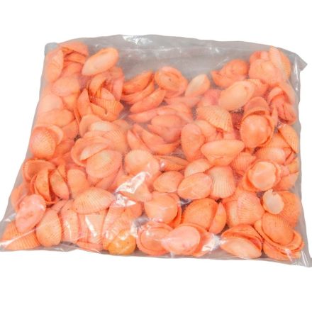 Kagyló 0,5kg Chippi -Szívkagyló 2,5-3,5cm narancs