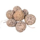 Ámbrafa termés kínai falfestékes barack 14dkg/csom