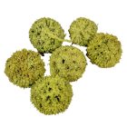 Ámbrafa termés kínai falfestékes olíva 14dkg/csom