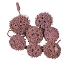 Ámbrafa termés kínai falfestékes szeder 14dkg/csom