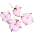 Gyapot termés egész vil.rózsaszín 15db-os