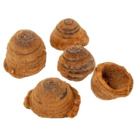 Tölgy kupak csíkos natúr 14dkg/csom